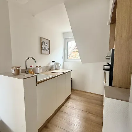 Neuf Et Moderne Proche Parc Et Hyper-centre Апартаменты *